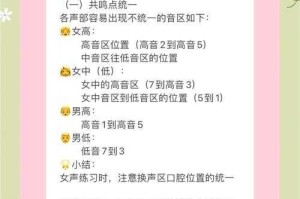 声音特质与音色对比分析，声音特质与音色对比研究，特征解析与技术优化路径
