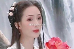 八仙过海电视剧何仙姑角色解析与演员介绍