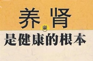 江西新余女子体检发现三肾之谜，医生揭秘人体隐藏的肾脏真相，江西新余女子体检惊现三肾奇观 医生详解人体隐藏肾脏之谜