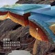 一、地质背景与构造特征，区域地质背景与构造特征的综合分析