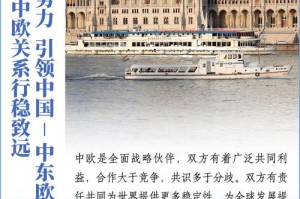 一、政治互信与战略协调，政治互信与战略协调，国际关系中的协同发展路径