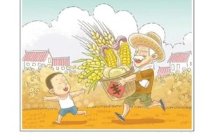 经济安全与粮食自主权，经济安全与粮食自主权，双轮驱动下的战略协同与路径优化