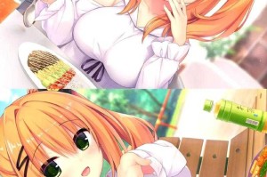 如何在手机端享受比较好的Galgame体验？
