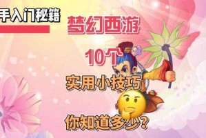 梦幻西游西瓜猫宠物怎么获得 触发，西瓜 触发