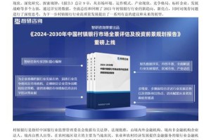 政策背景与实施现状，政策背景与实施现状研究综述
