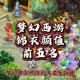 梦幻西游裙子飘带锦衣怎么获得
