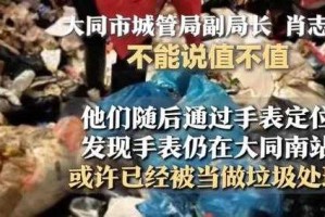 游客投诉环卫工翻垃圾找手表，一场城市管理中的尴尬与反思，游客投诉环卫工翻找垃圾寻手表折射城市管理漏洞