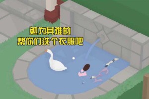 大鹅模拟器怎么洗衣服
