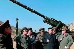 七米长手炮震撼登场超长射程威力惊人，军事迷必看神器解析