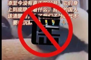 2人造谣科研人员虐待大熊猫获刑，真相与谣言的生死博弈，法律利剑斩谣害 真相守护大熊猫
