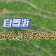 梦幻西游谭爷爷是谁啊视频，爷爷，玩家 视频