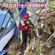 河南西峡强降雨遇难人数上升至5人，河南西峡强降雨致5人遇难