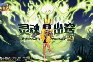 航海王：燃烧意志新世界布鲁克有必要8星吗