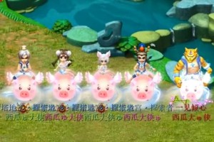 梦幻西游西瓜猫宠物怎么获得