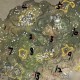 梦幻西游许愿池位置攻略，许愿池，许愿，许愿