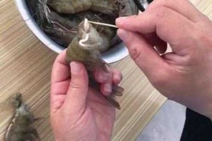 广州高铁站被淹？不实！这些真相你需要知道，广州高铁站被淹系谣言！官方详解事件真相与应对措施