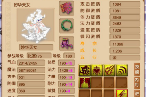 梦幻西游转服召唤兽饰品