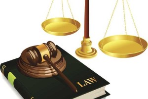 案件背景与公众反应，案件背景与公众反应，XXX事件引发的社会舆论全景追踪