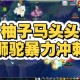 梦幻西游西游柚子长啥样