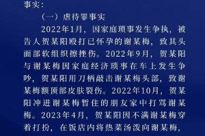 事件回顾与执法依据，XX事件，事件回顾与执法依据全流程解析