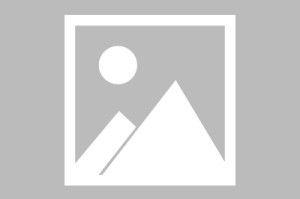 宝可梦大探险可以交易吗_1