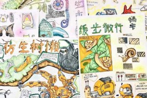 仿生设计与生物力学突破，仿生设计驱动生物力学创新应用