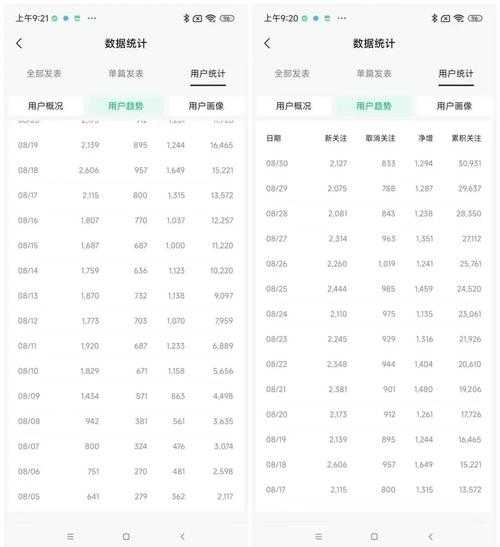 一波流账号攻略:快速提升SEO排名的终极技巧