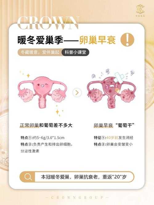 卵巢功能早衰的五大原因解析 - 遗传、免疫、环境全揭秘