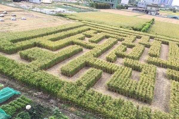 刀光风云剧情卡关?如何破解新手必遇的迷宫?
