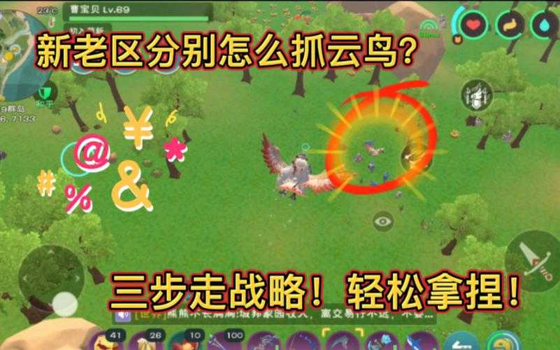 云鸟刷新位置高清图片大全 - 最新分布图与捕捉攻略