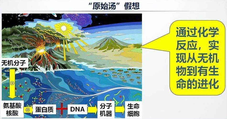 人类生命之源是什么?探索生命起源的奥秘