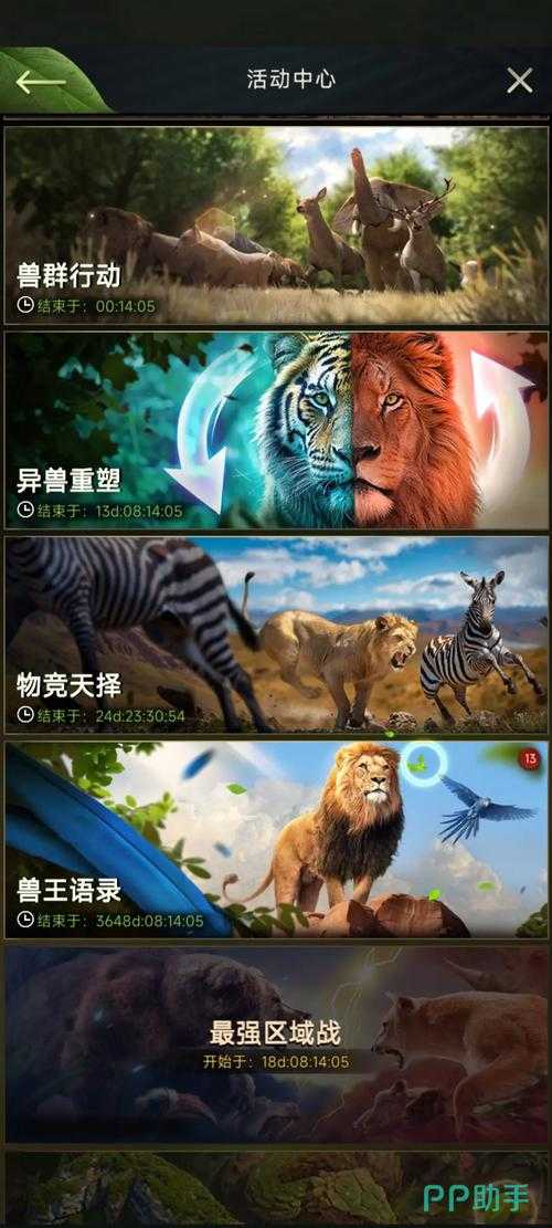 野兽种族的玩法要领是什么