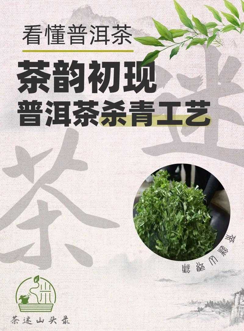 茶叶制作工艺:什么是杀青及其作用