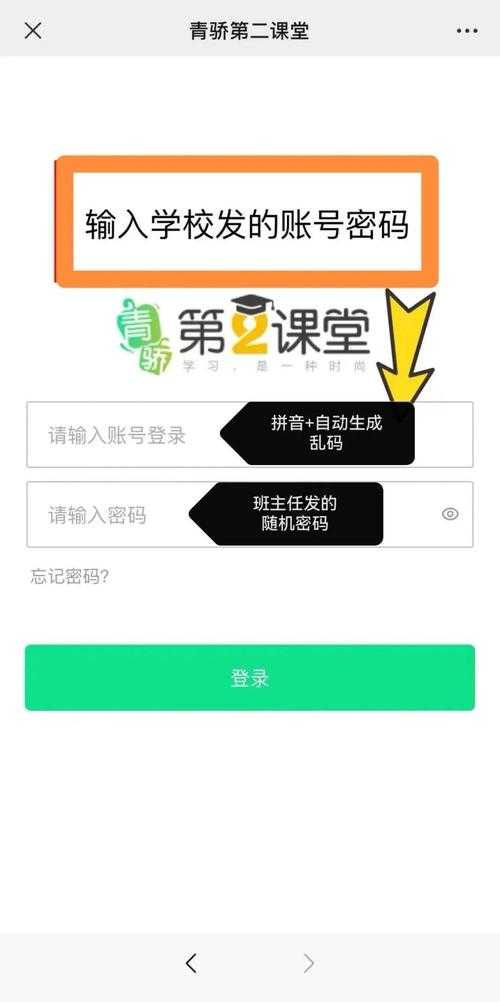 学生端登录入口网址 - 官方快速登录通道
