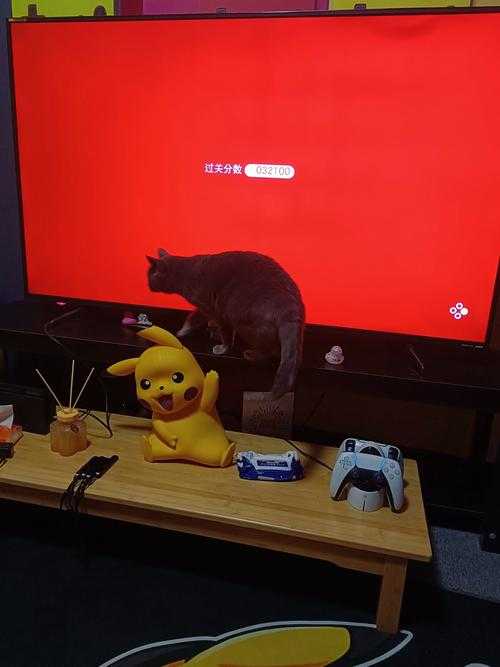 全球直播超萌猫咪打游戏爆红网络，网友疯狂围观