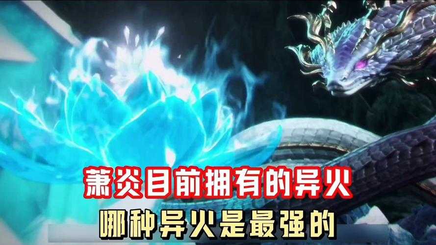 里·异火的意识搭配及共鸣推荐什么