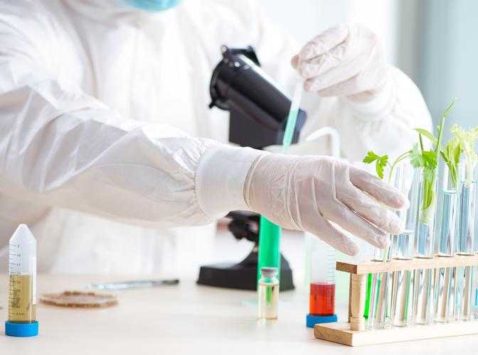 创世实验室如何利用有限资源