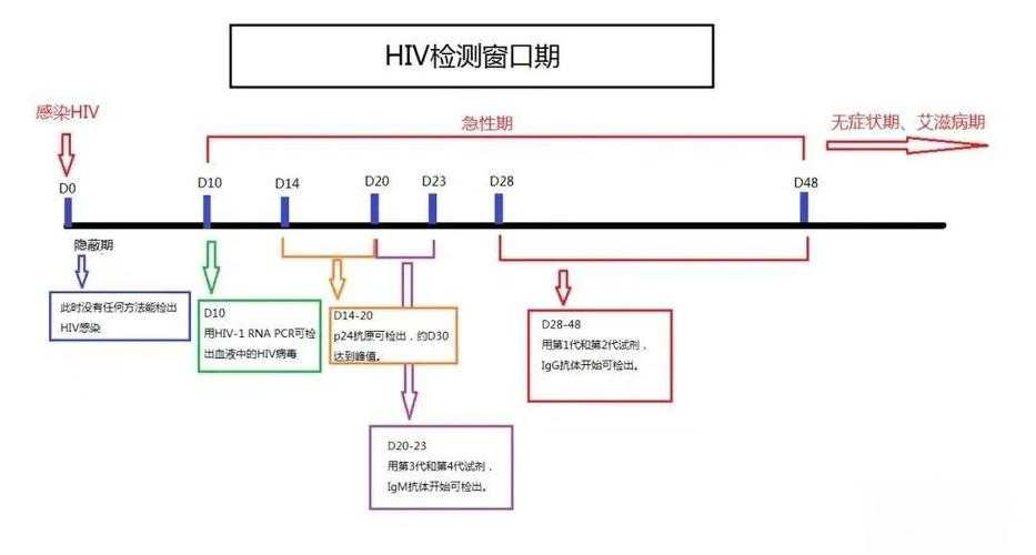 艾滋病接触后多久能检测出来?窗口期与检测时间详解