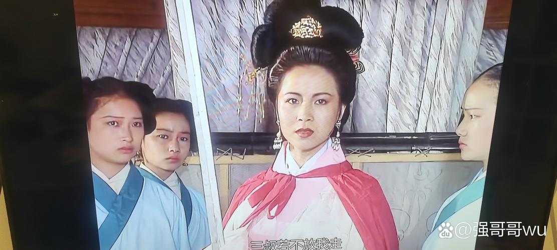 张琪瑛嫁给了谁?揭秘三国名将张鲁之女的婚姻归宿