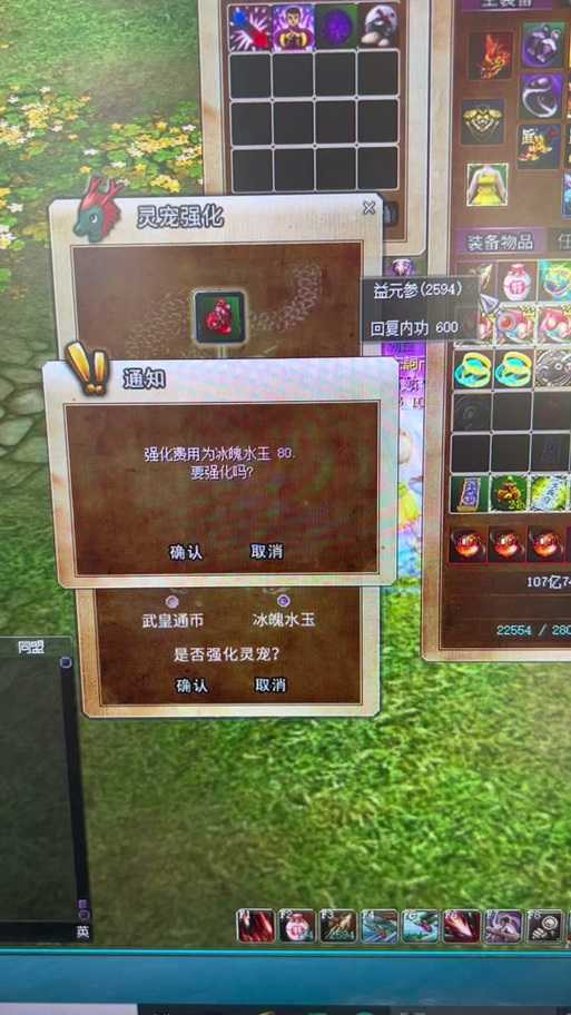热血江湖灵宠怎么进化