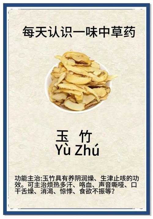 冬玉与青灵竹:探索珍稀植物的奥秘与养护技巧