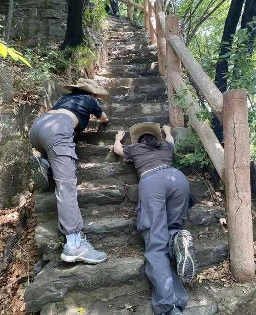 一起爬山吗搞笑表情包合集 热门爬山梗图大全
