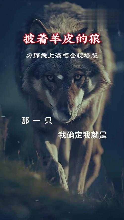 抖音火爆的北方的狼族歌曲名字是什么?
