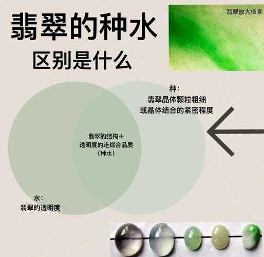 什么种的翡翠最好？翡翠种水等级排名与选购指南