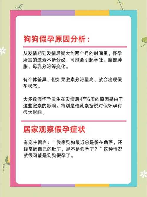 人怀狗的孩子能生吗？科学解析跨物种生育可能性