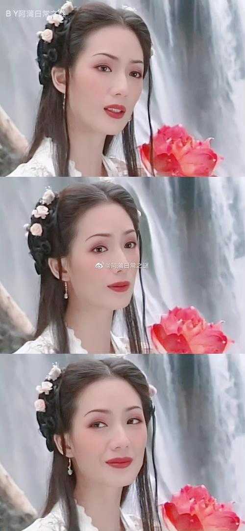 八仙过海电视剧何仙姑角色解析与演员介绍