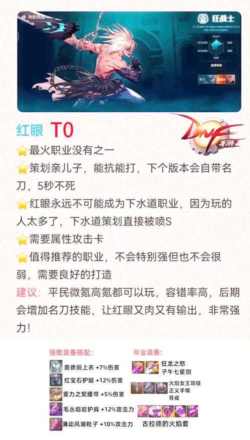 以下是对《DNF》召唤师与气功师职业对比报告的深度分析及优化建议: