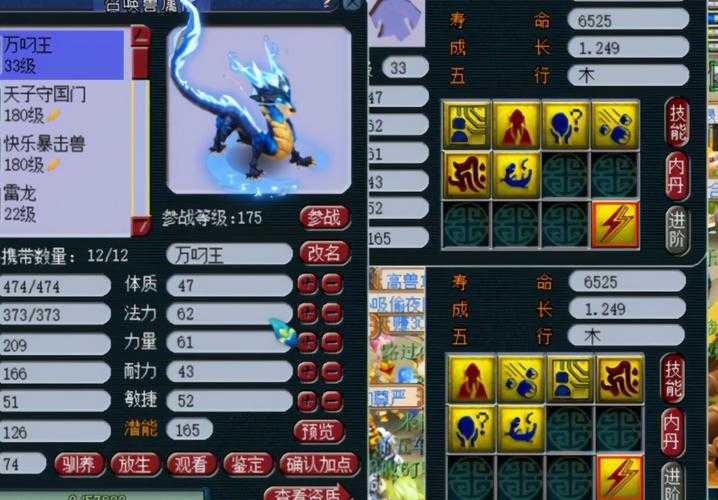 梦幻西游第一须弥雷龙 须弥 高级,雷龙