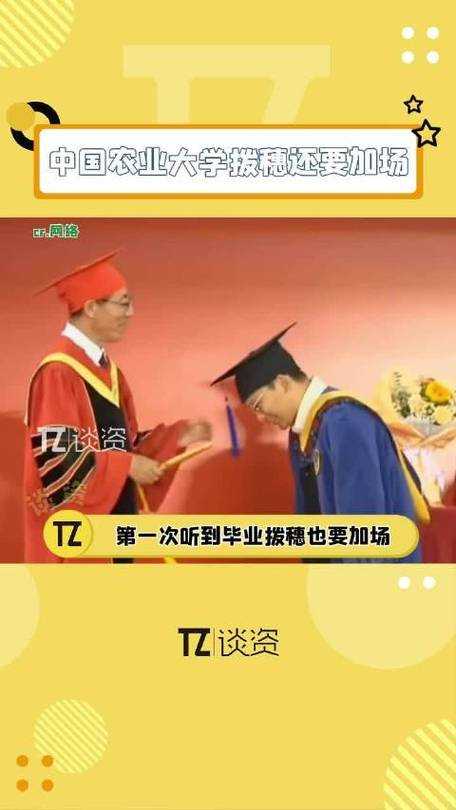 震撼教育史63岁中国农大校长全程站立拨穗14小时,一场颠覆认知的生命礼赞