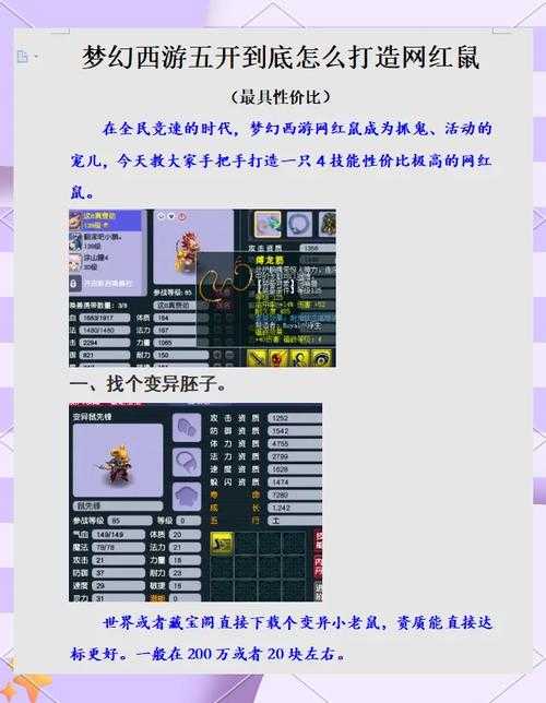 梦幻西游老鼠打什么高内丹 老鼠,西游 内丹